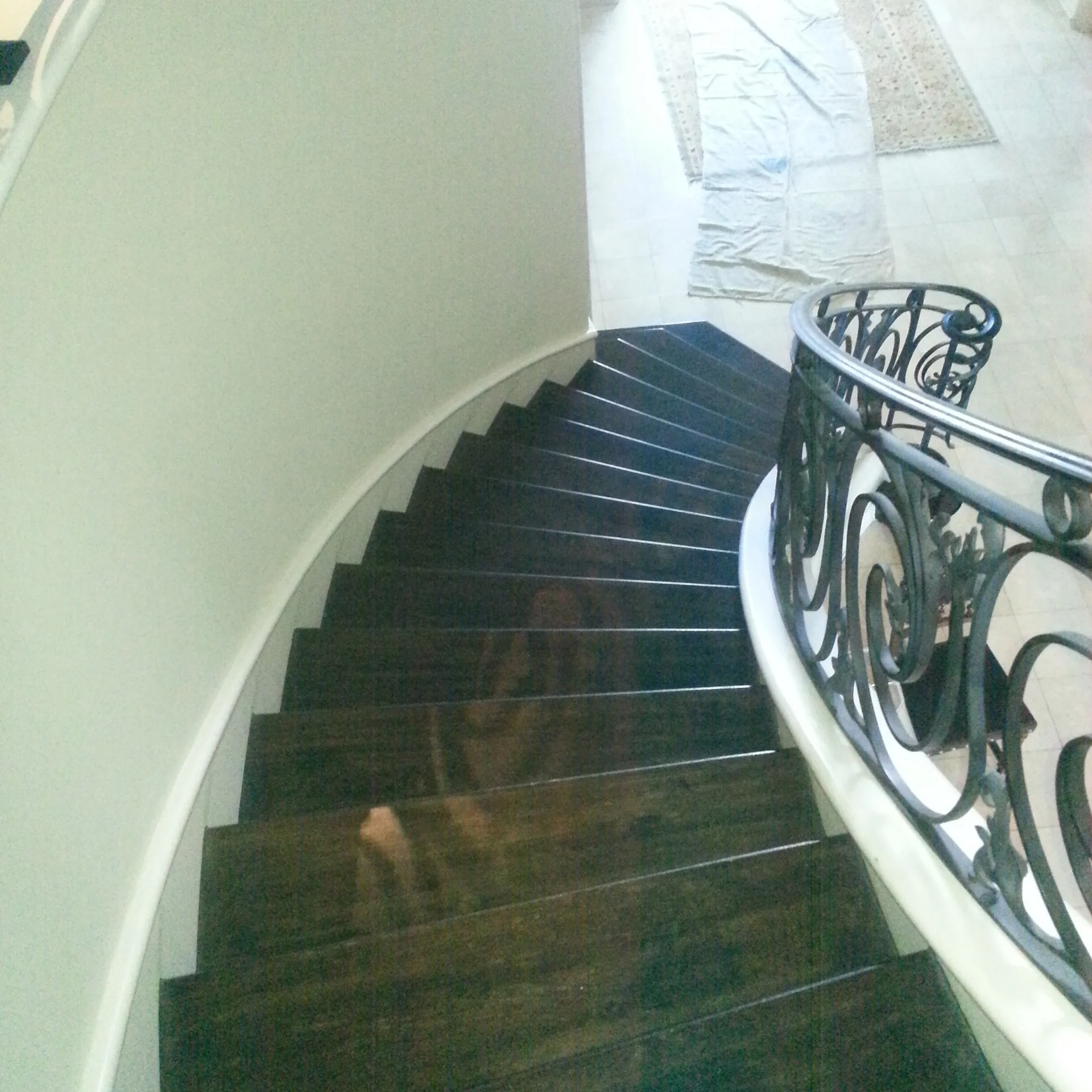 Dark wood curved staircase with white risers and ornate black metal railing with scrollwork details